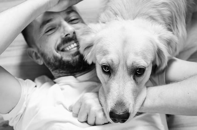 Dog laying on man's chest