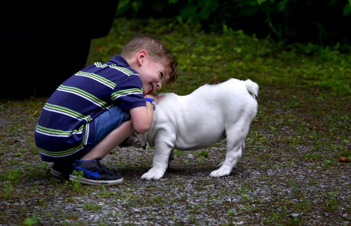 Dogs that are unfamiliar with children can find them stressful.