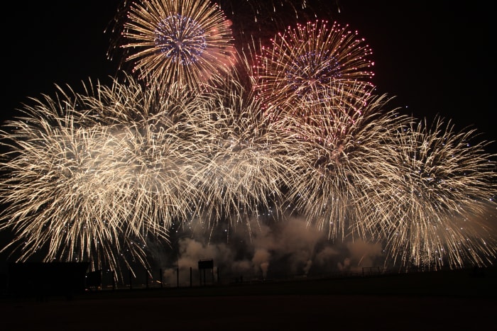 Fireworks can be a huge source of stress for many dogs.