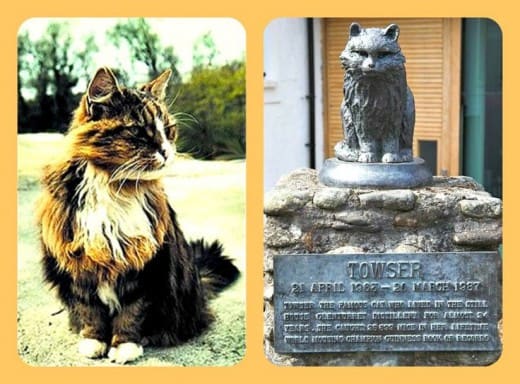 "Towser "The Mouser" (1963–1987) of Glenturret Distillery in Crieff, Scotland, holds the Guinness World Record for the most mice caught (28,899)"