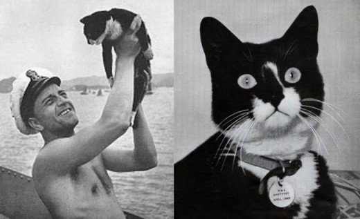 Unsinkable Sam, the cat who served on and survived three sinking ships during WWII.