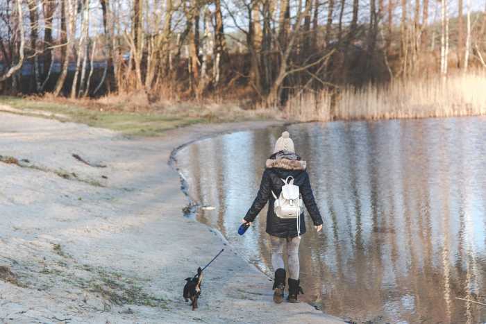 Take your dog to a place he's never been to before.