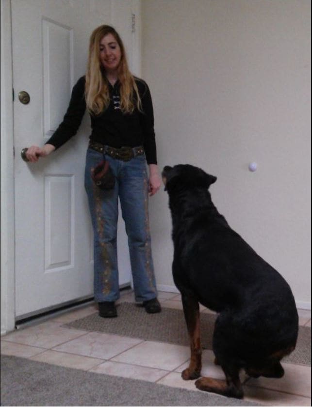 I ask my dog to sit when I touch the door knob