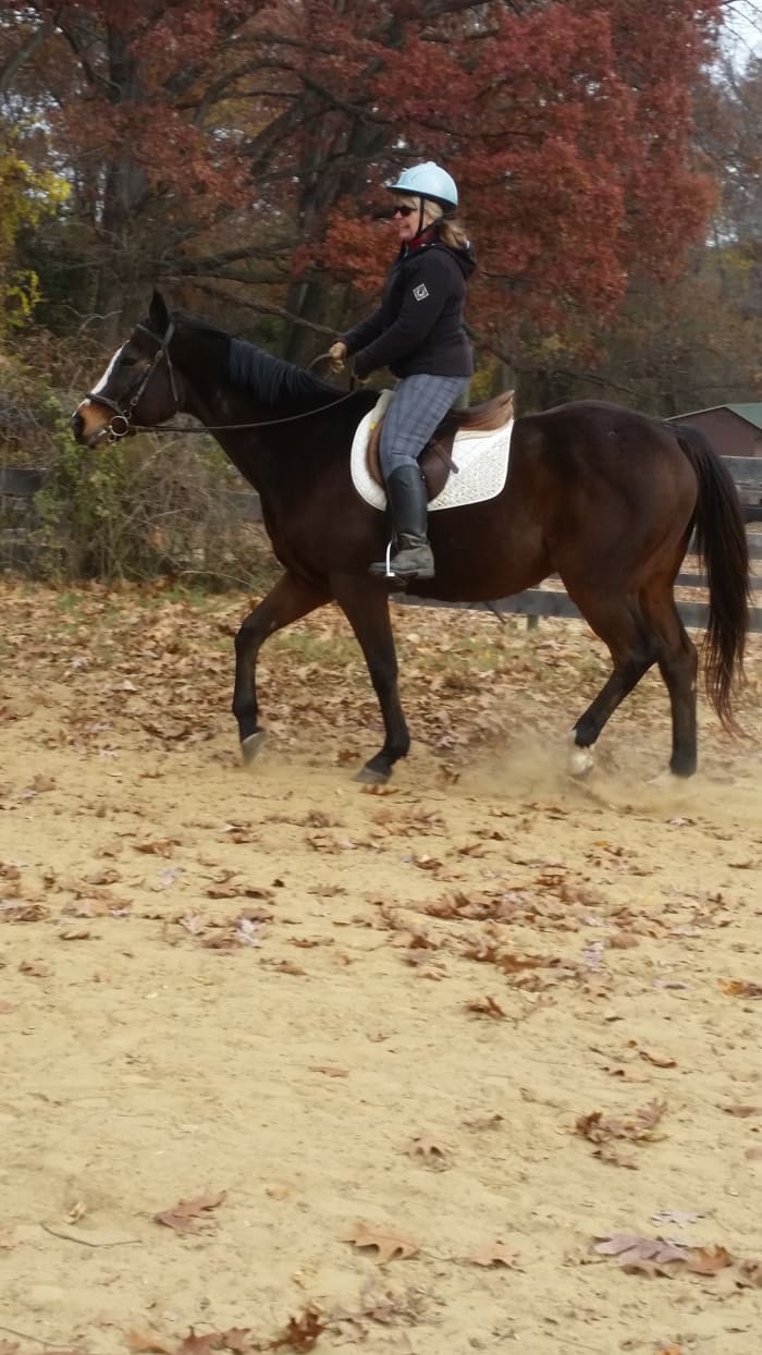 Example of posting on the correct diagonal, the rider rising up with the horses outside front.