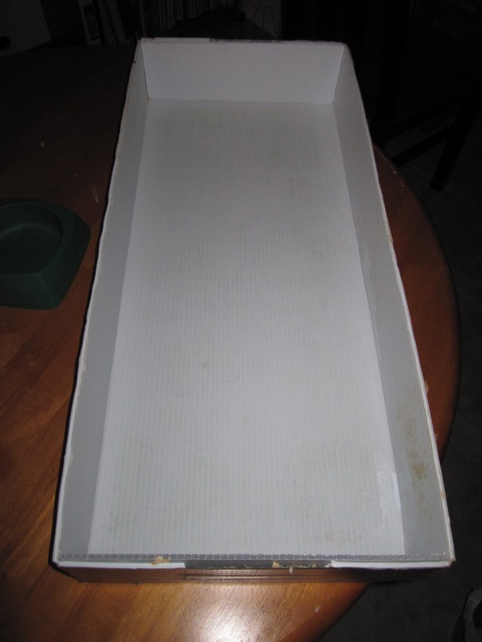 This is after removing the litter and cleaning with sprays of 50/50 water/vinegar solution and then rubbing alcohol. It is clean and disinfected.