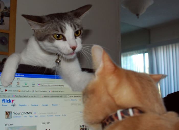Office bullies may belittle you behind your back—or even to your face.