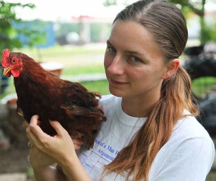 Mental illness can make it impossible for a chicken to interact normally with other birds, as was the case with this bantam rooster.