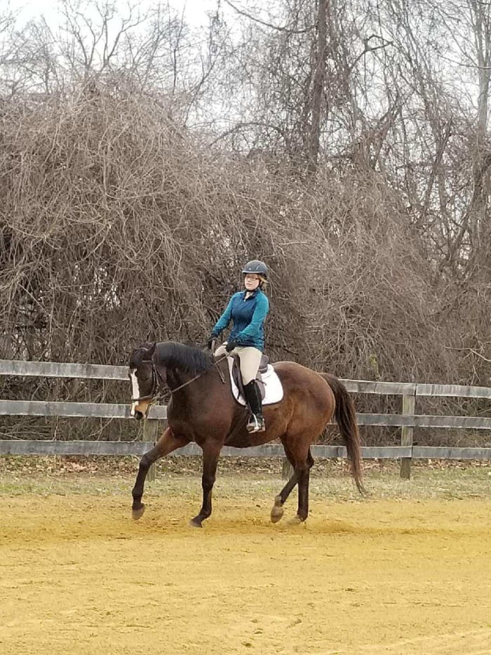 Sort of an odd angle for this picture, but Finn is quite good at self carriage, as long as you have your leg on and consistent contact he will rock back on his hind end all on his own, and go in a frame.