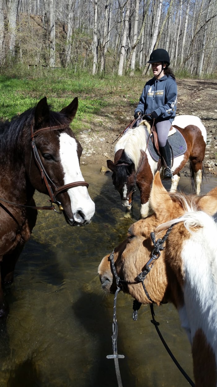 We all need our horses to be balanced. Whether it be for ring work, or for things like trail riding, the picture doesn't do it justice, but we had a steep little walk down into the river in this picture.