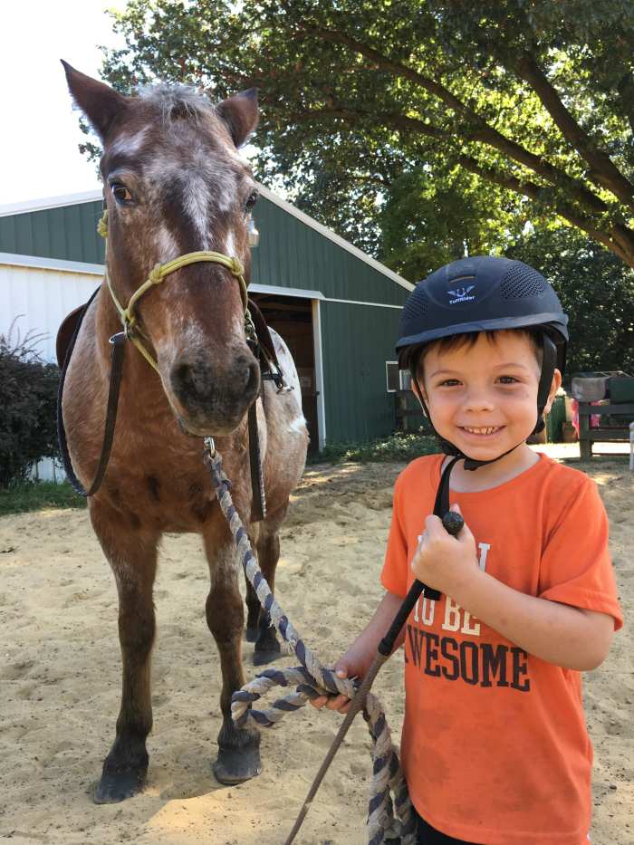 Oliver and Peanut. Oliver was lucky enough to be born into a "horsey " family, but here are some pointers for non horsey families !