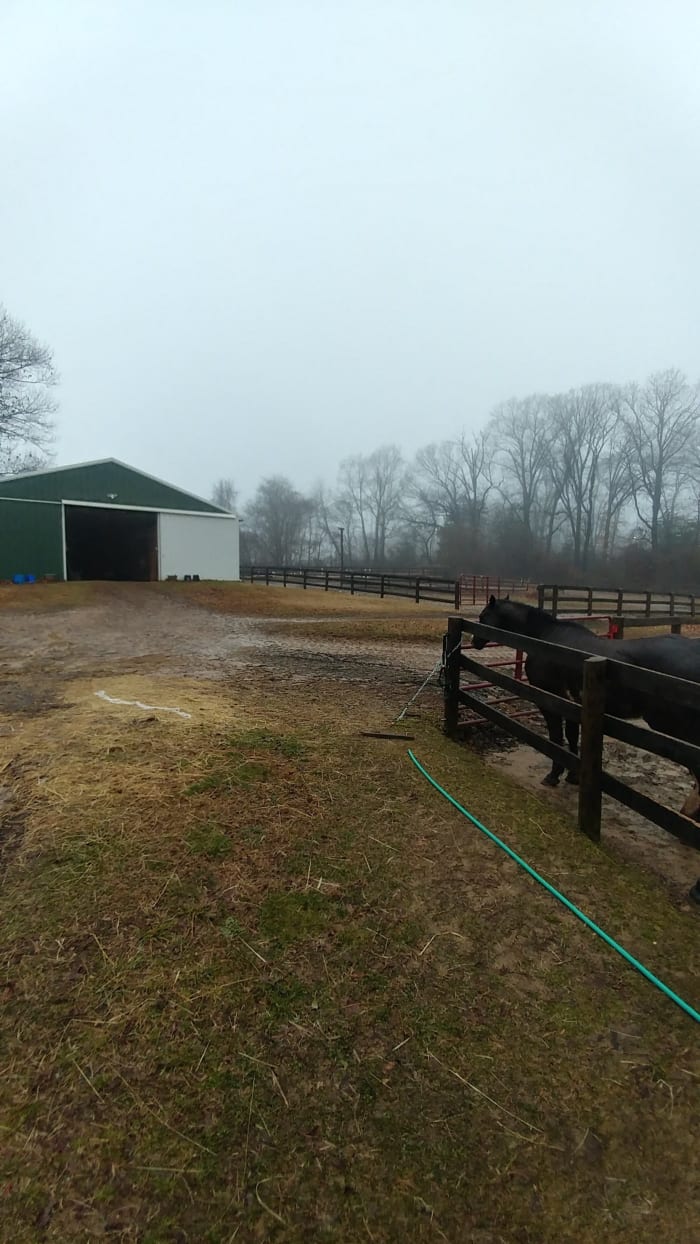 Rainy and stormy day leaves us stuck in the barn for unmounted horsemanship lessons on days like today.