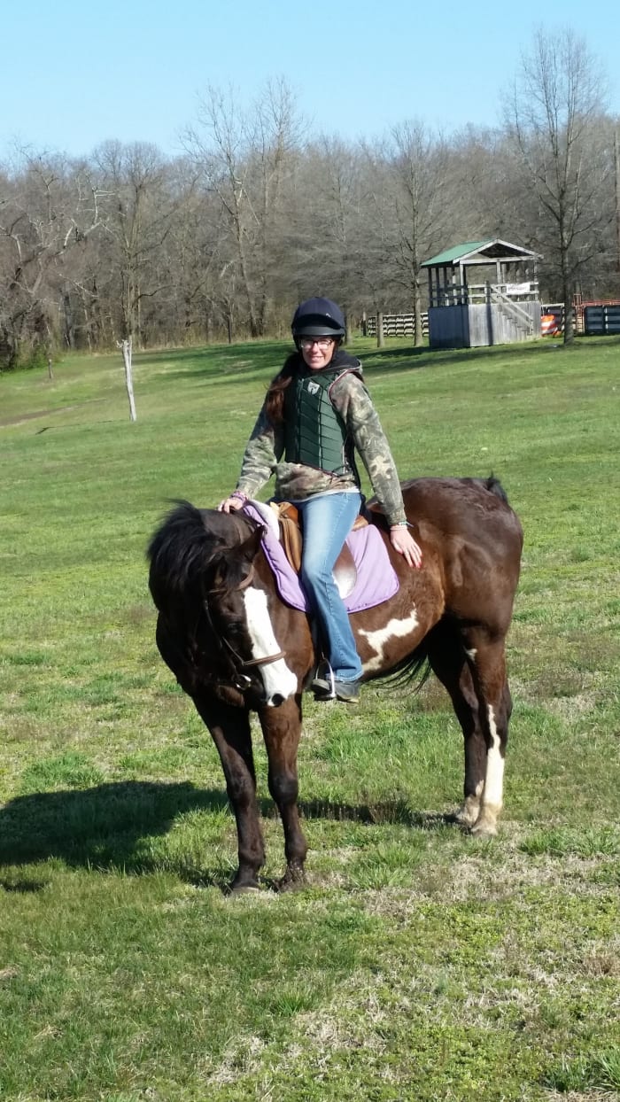 Romeo appears to be a paint or quarter horse but came with no papers, so he is considered a grade horse.