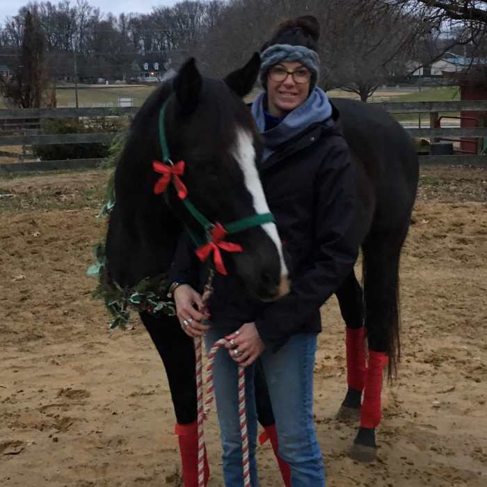 Zoe, my princessy little mare took the longest to get used to the decorations that I put on her. She was a bit nervous about that wreath looking stuff around her neck.