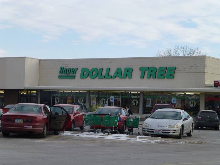 Make sure you shop smart at dollar stores!