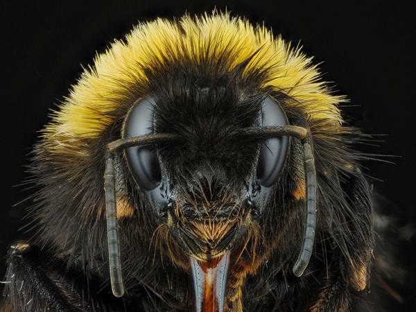 In the Queen Bee Syndrome, a female in a supervisory or management position treats female subordinates more critically.