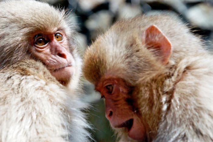 If you confront a work frenemy with their behavior, expect anger, surprise, denial. They'll be shocked and will turn the tables on you. How could you accuse them? Oh, the disbelief!