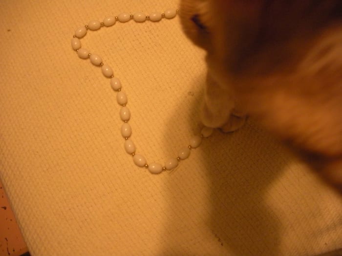 Ivory necklace on a yellow blanket. No, it's not a good contrast. Also, mind you shut your pets out of your shooting area.