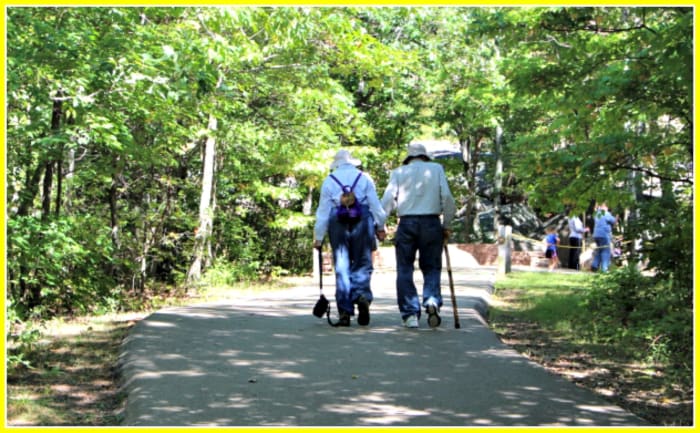 As people age, they must limit their activities to those they can do rather than to those they would like to do.