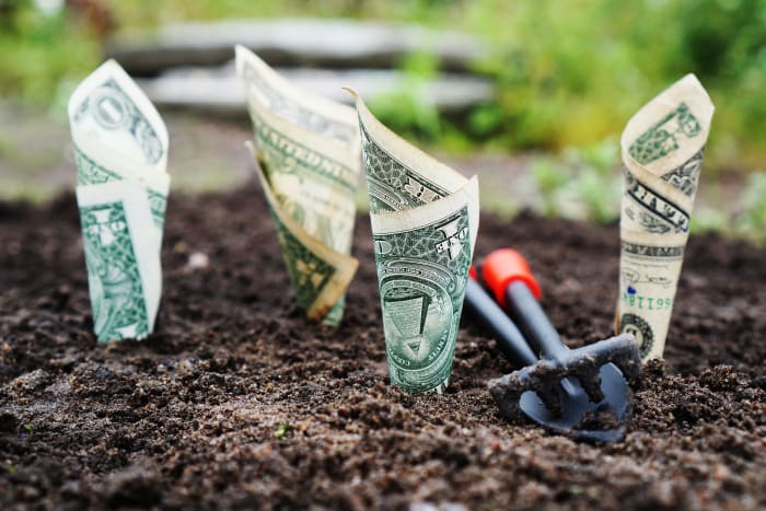 Writing articles for a revenue sharing site is kind of like planting seeds in someone else's soil. They did a lot of the hard work for you by maintaining the land and laying out all of the manure, so you'll have to give them some of your harvest.