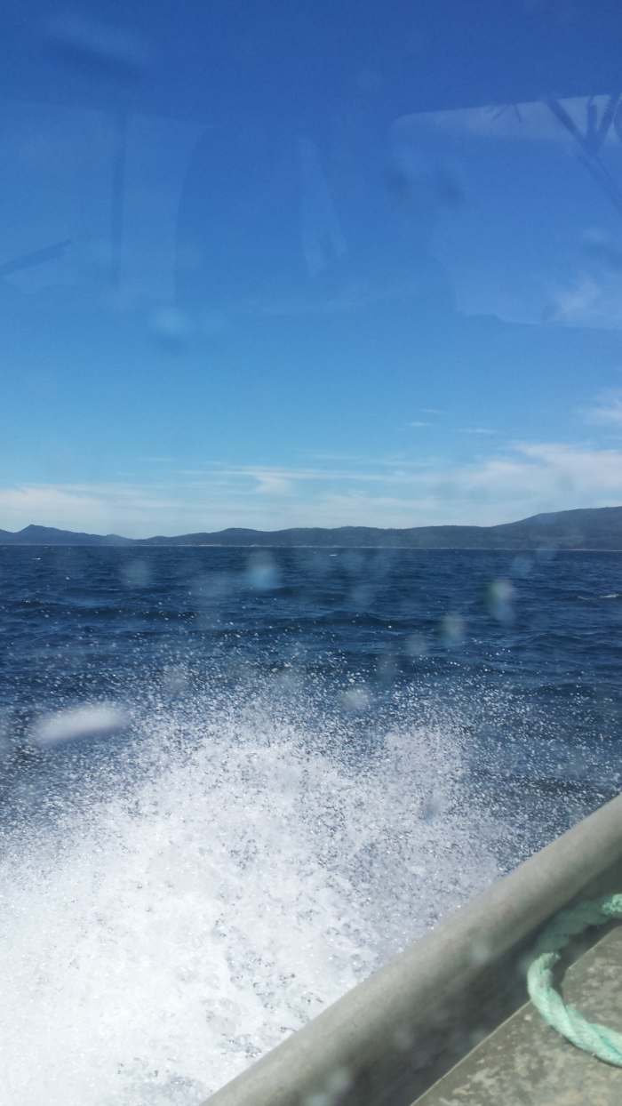 My Life as a Remote Logging Camp Cook ToughNickel