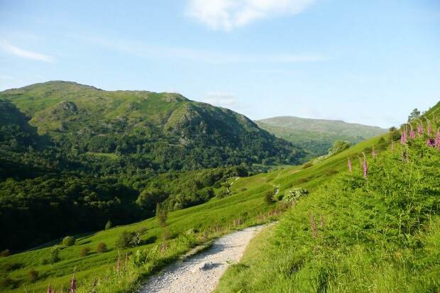 Walking in the countryside or the city is a fun activity that may be free, depending on transport requirements.