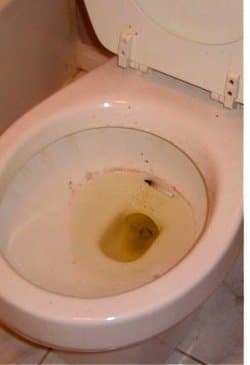 Photo taken by a first-time home buyer who didn't realize her new house reeked of smoke because the seller hid it.