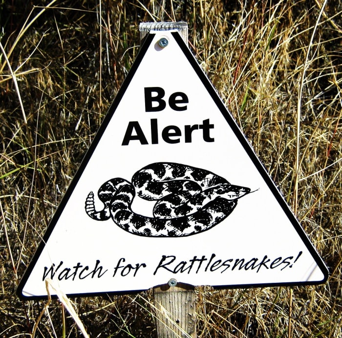 Don't get tricked into giving away your private information.Sadly, there are plenty of snakes in the grass trying to take advantage of people looking for work.