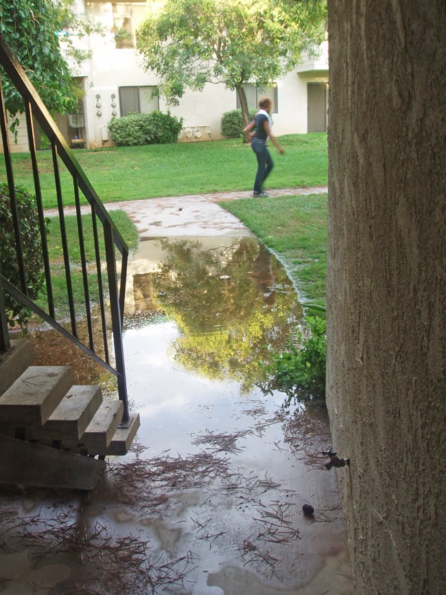 Lay porous surfaces: I would have requested the laying of porous sidewalks to prevent floods like this.