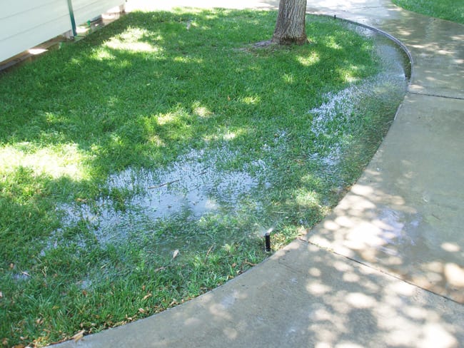 Repair breakages: This is the kind of water waste that a good landscaper can avoid, and a water use audit will catch. This puddle comes from a broken pipe underground.
