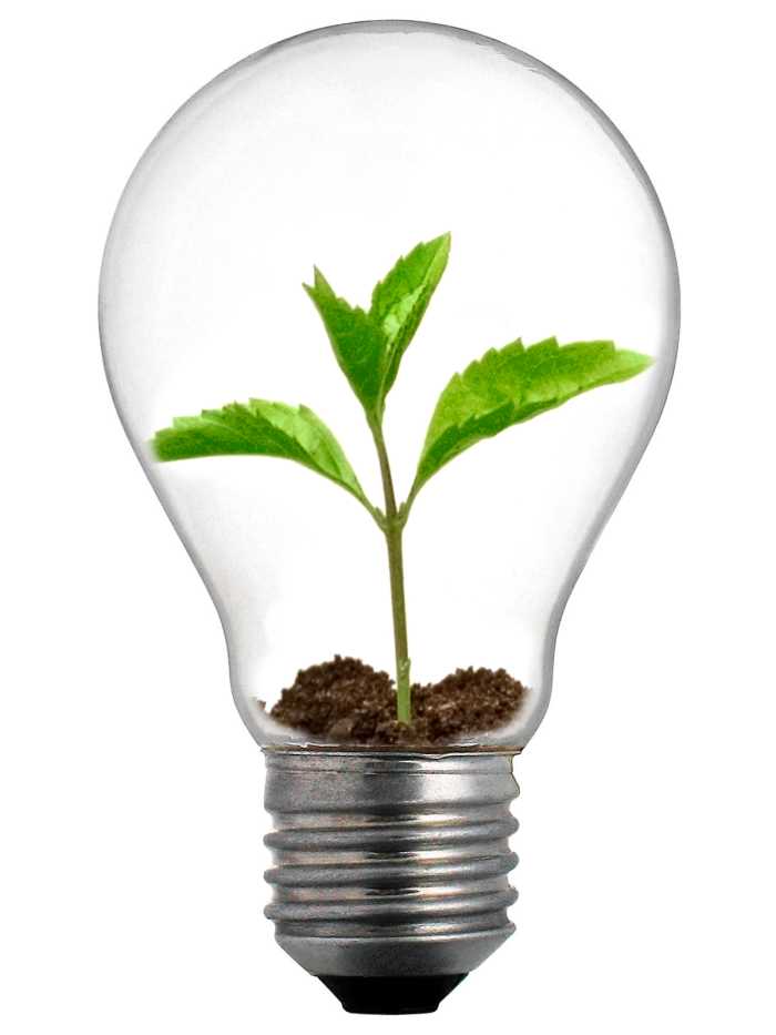 A sudden inspiration, carefully nurtured can be your reward for brainstorming your problem.