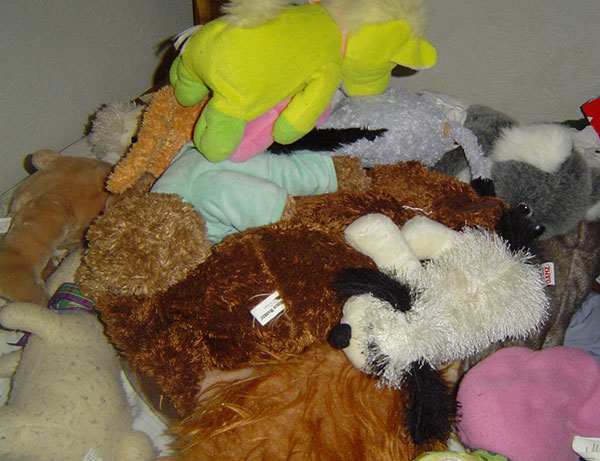 Can you have too many stuffed animals? We're not lacking in stuffed animals. The fraction of them shown here is enough to hide a small child underneath! I think they all have names, but I don't know all the names.