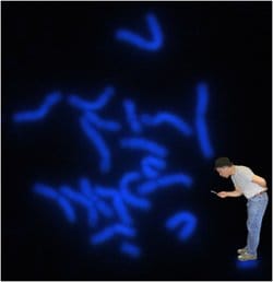Examining chromosomes might seem worthy of dedicating your life to, but eventually the need to have a normal life with a mortgage and a pension will start to re-assert itself.