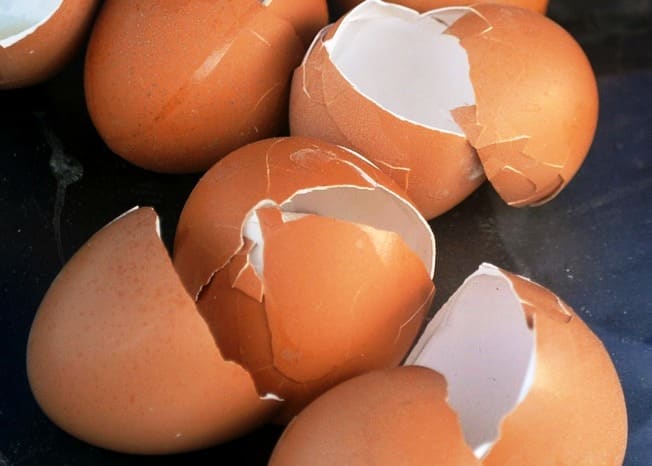Workplace romances can be like putting all your eggs in one basket. Things can get messy! Beware of the impacts.