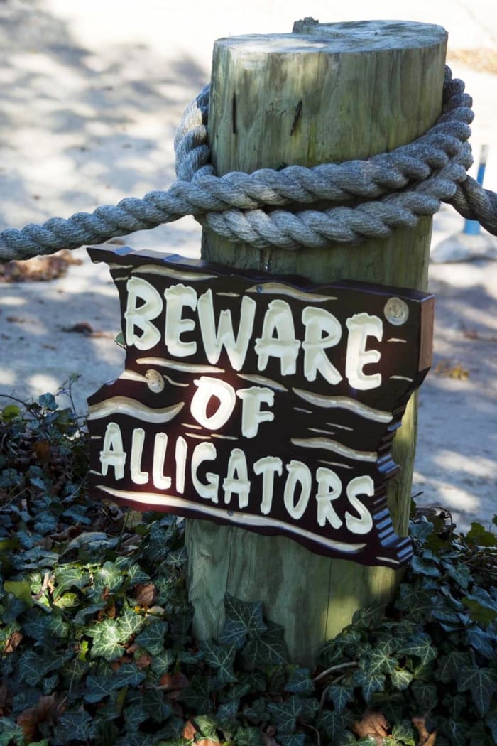 Be able to survive outside the pond by staying current in your field.