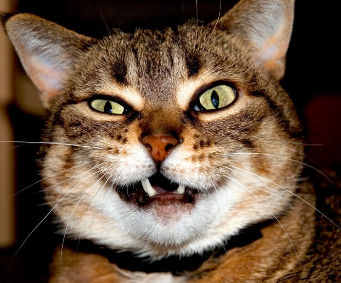 Smile: It's almost over. What will be left of you once your soul is sucked dry? Both personal and professional relationships can involve toxic trolls.