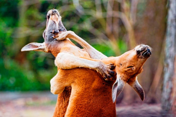 If you're uncomfortable with conflict, stay out of management. Managers routinely need to tell people "no," assign unpleasant work assignments, and issue corrective action.