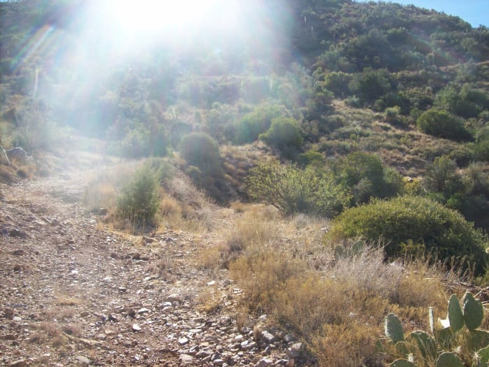 Fork in the trail - right trail leads to dirt build up on side of hill - left goes up a mountain