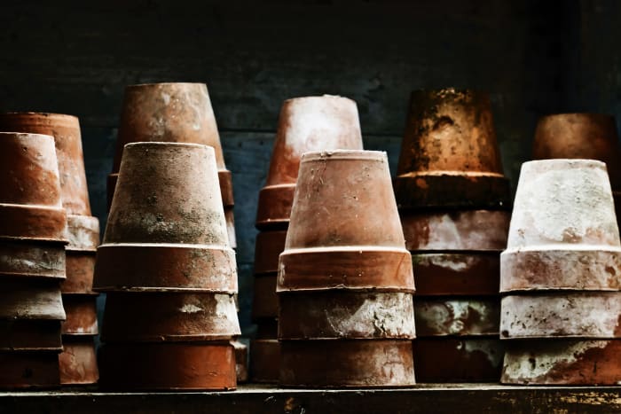 Gardening is a skill that requires study and practice, but one with potentially vast payoff.