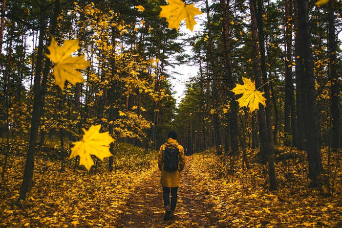 It may not always be clear how to stop caring what people think, but it's necessary for your happiness to make your own path in life.