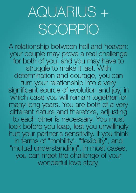 Scorpio and Aquarius: A Match Made in Heaven or Hell? - PairedLife ...