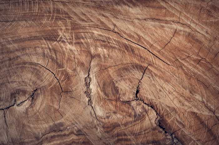 Brown is earthy and unassuming, preferring to be recognized for who they are instead of what they are.