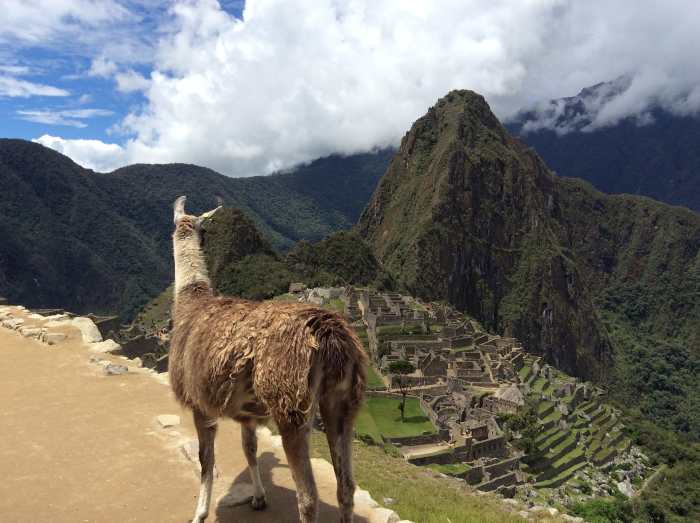 You get to choose the travel destination - though you might want to check with the kids first..