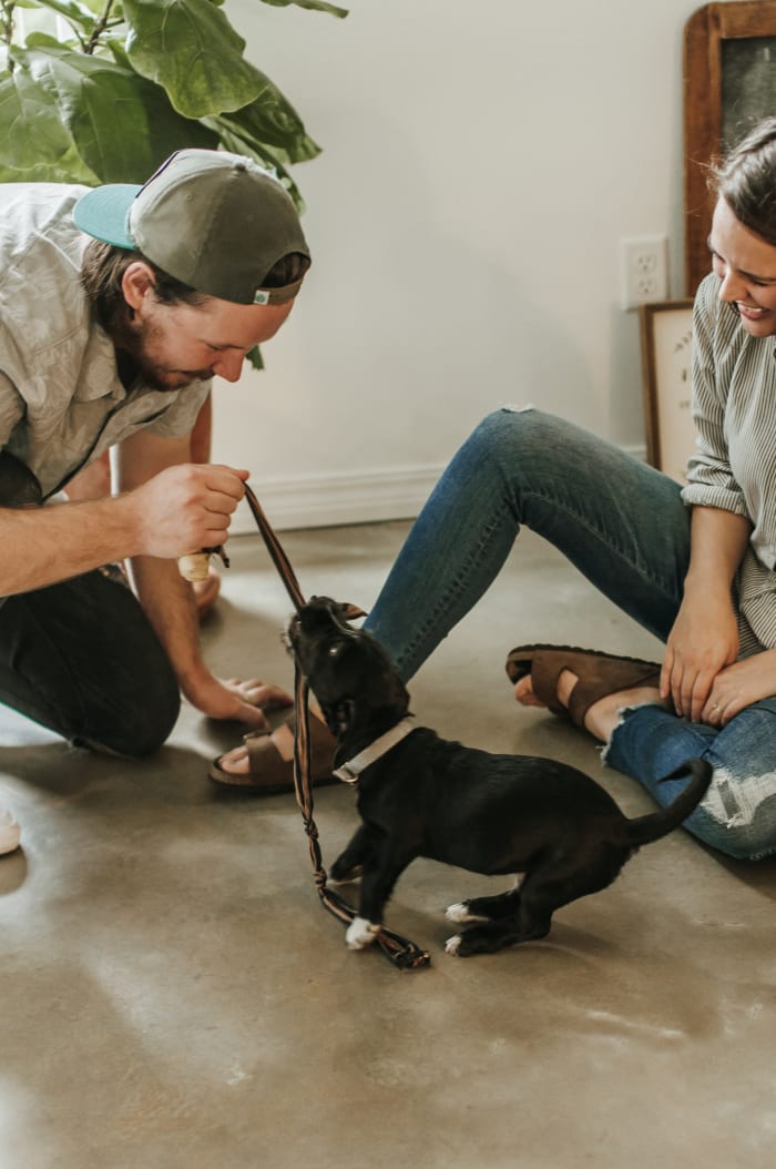 That pup is way cute, but when was the last time he had a bath and when was the last time you found him using your clean clothes pile as a nest?