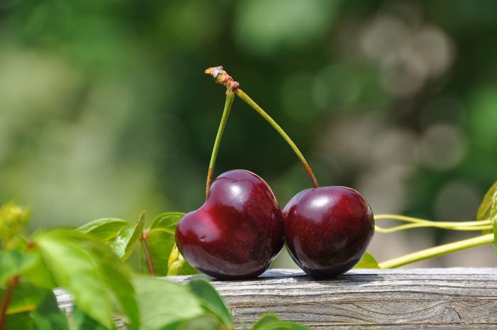 Cherries