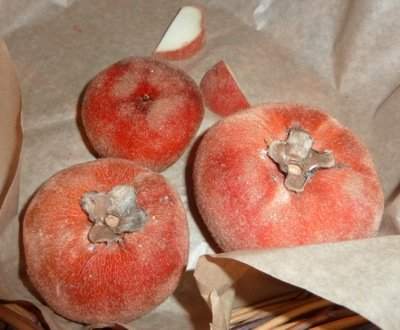 Velvet Apples (Mabolo Fruits)