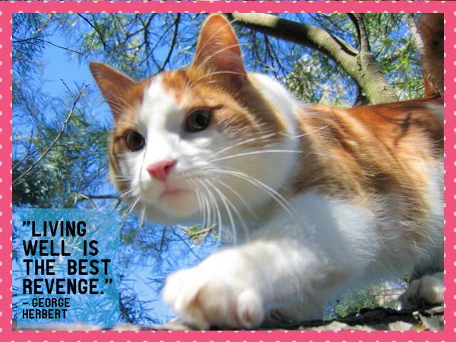 "Living well is the best revenge." - George Herbert, Welsh poet