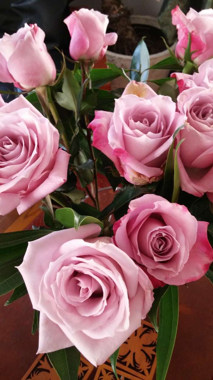 Allow your singing seeds to blossom and grow. A thorn here and there are a natural state of progression.
