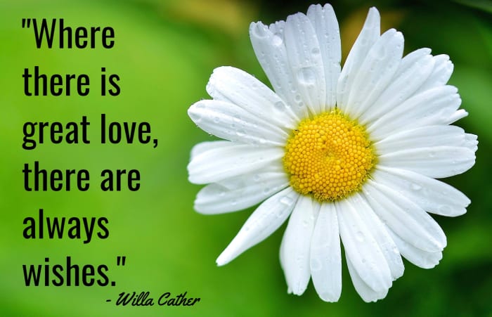 "Where there is love, there are always wishes." - Willa Cather, American writer
