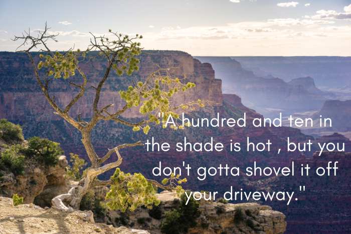 Arizona saying: "A hundred and ten in the shade is hot, but you don't gotta shovel it off your driveway."