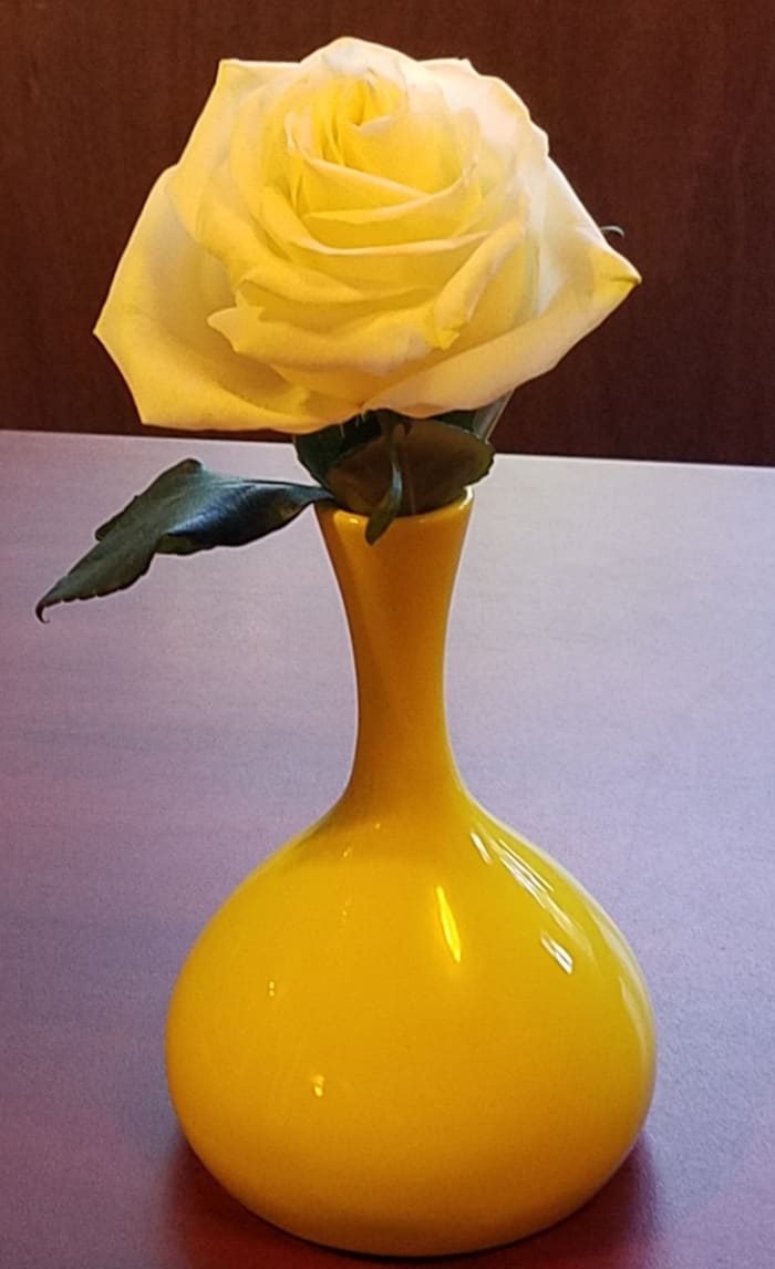 A yellow rose was left for me by my coworker at the desk where I cover for her vacation time each summer.